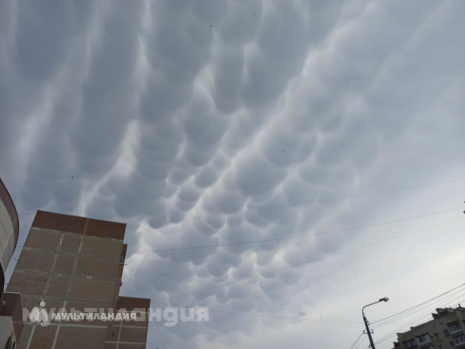 Полищук Екатерина