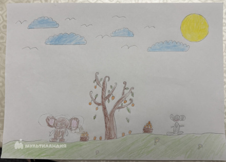 Зайнулабидов  Расул