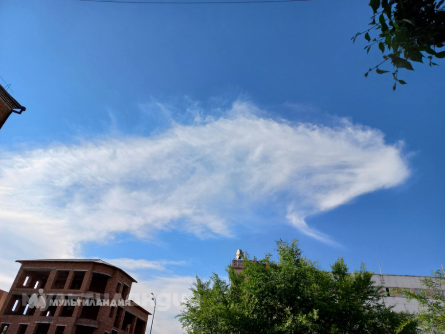 Дарина Григорьева