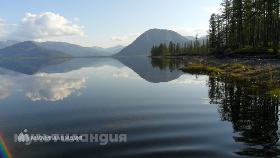 Самсонов Рома