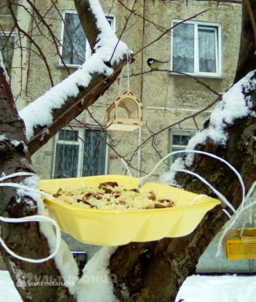 Артем Савин (г.Барнаул, 7 лет)