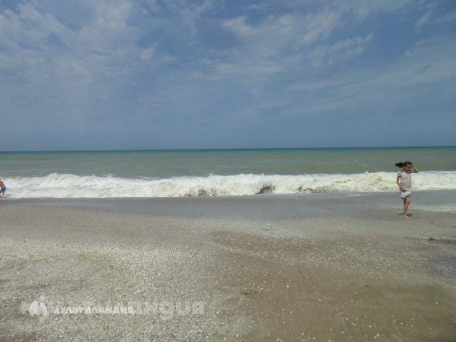 Осокин Даниил