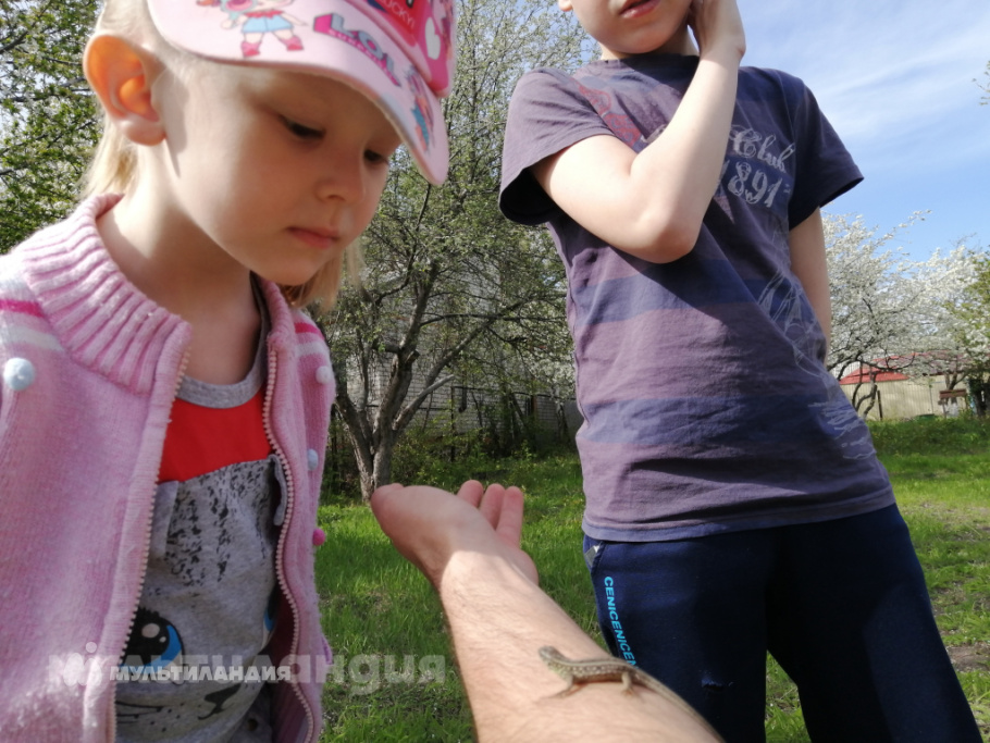 Екатерина Тимакова