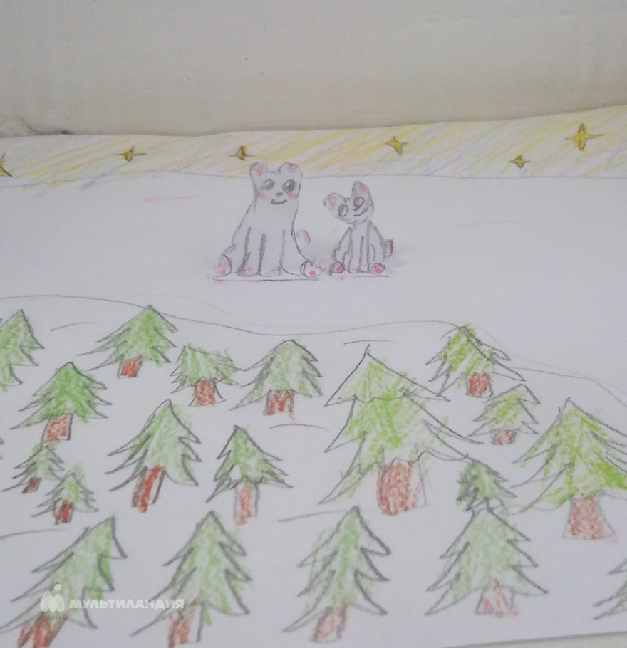 Пай Станислава 