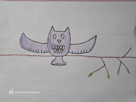 Сулейманова Алия