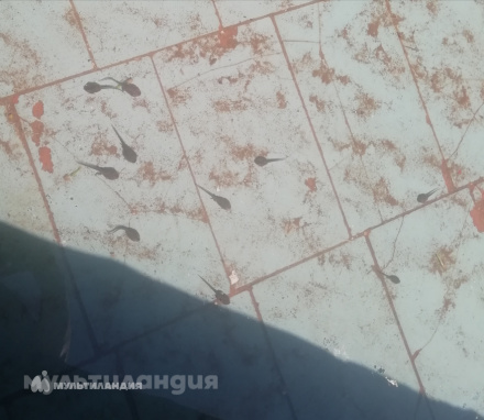 Мирон Кузнецов, 3 года