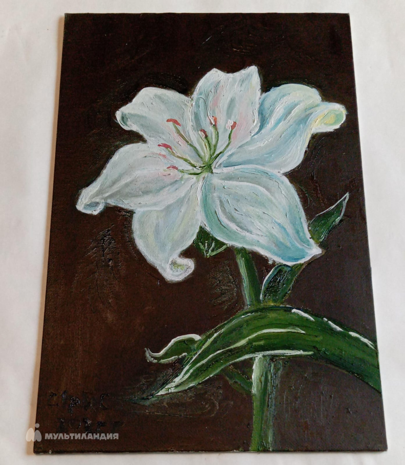 Смирнова  Кристина