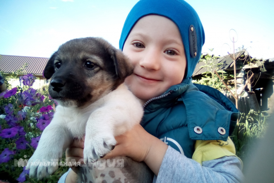 Копач Даниил