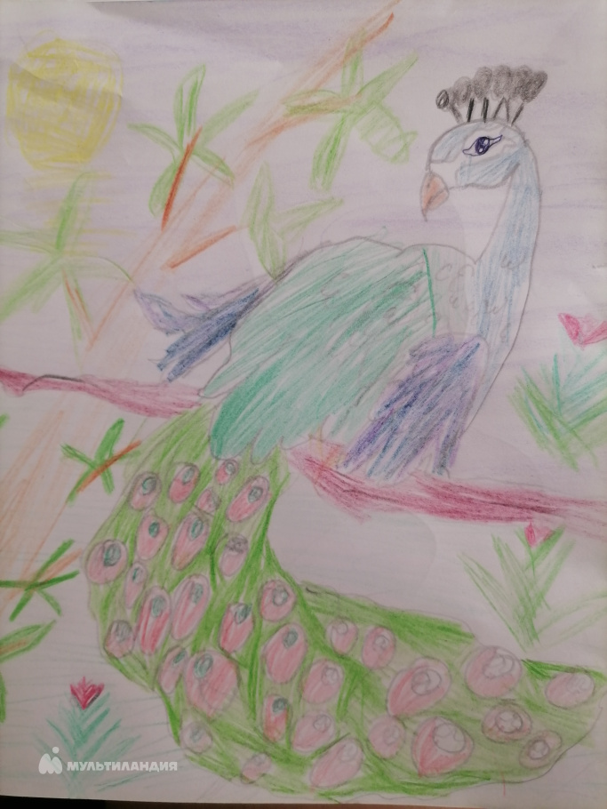 Вовасова София