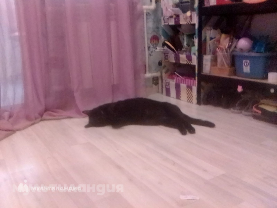 Маслова Лариса