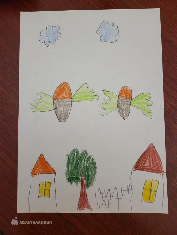 Деревякина  Диана