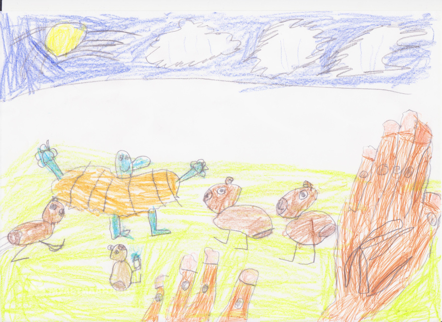 Елкина Анна