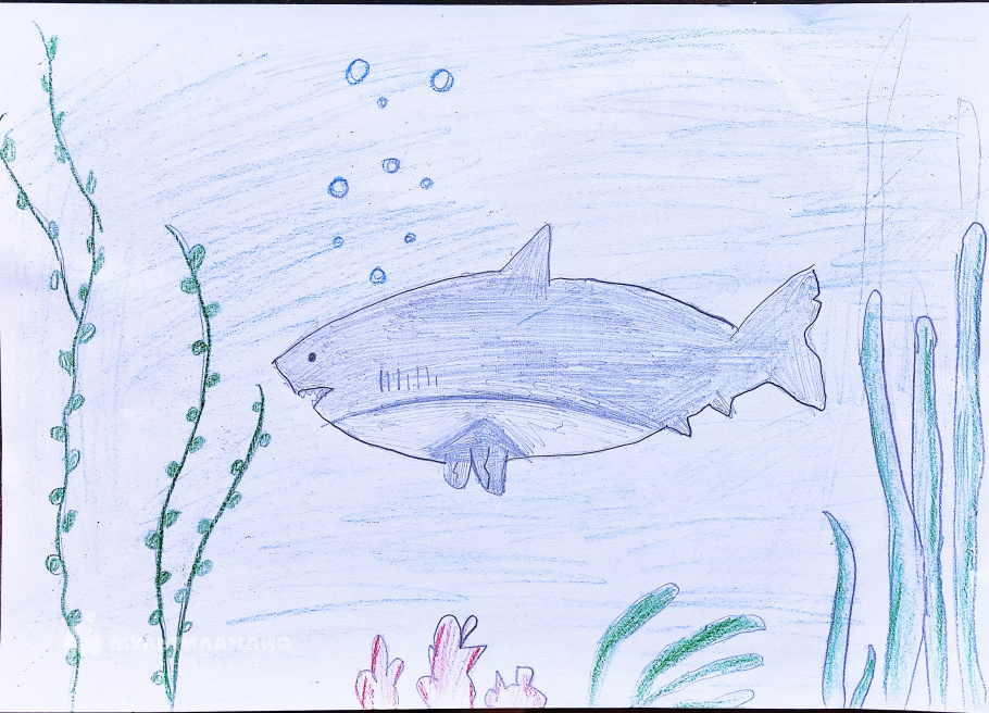 Кутовая  София