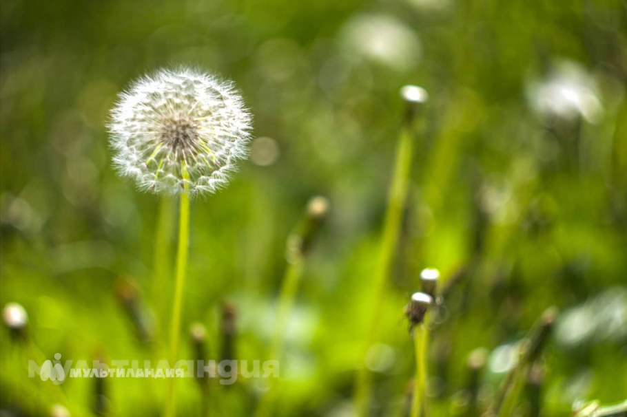 Ульяна Изотова