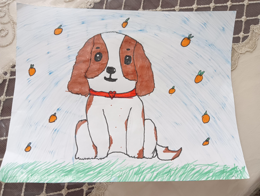 Липина Ангелина 