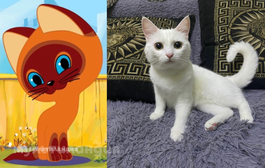 Данил Бережной