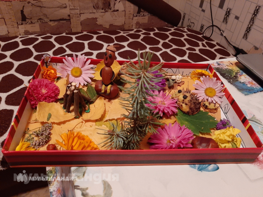 Серёжа Лобанов