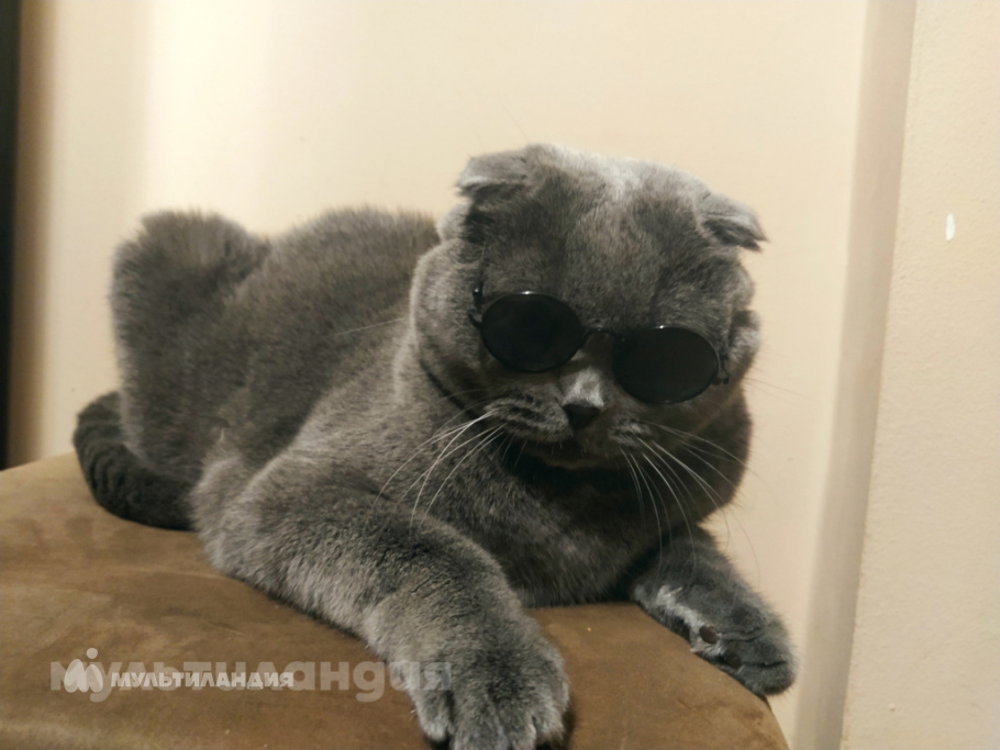 Сидельникова Дима