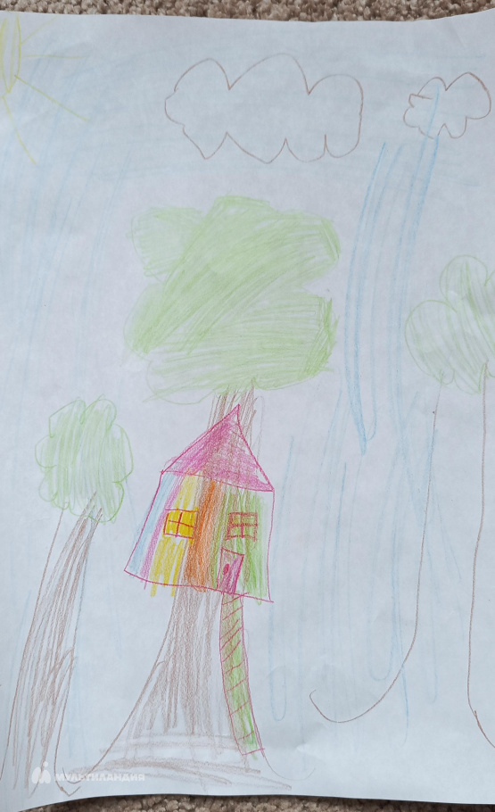 Дробязко  Ульяна