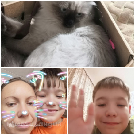 Даниил андрющенко