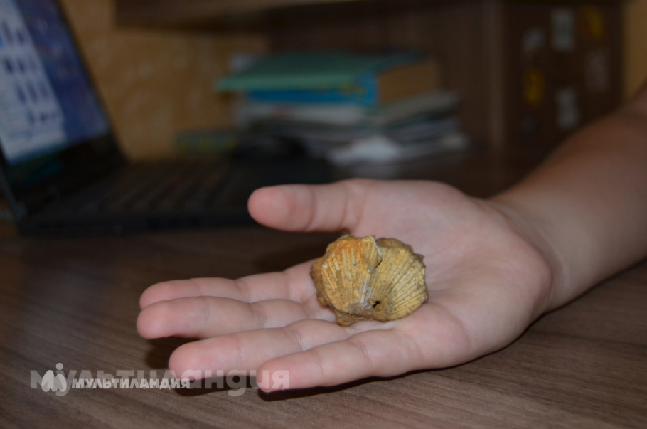 Пожидаева Ульяна