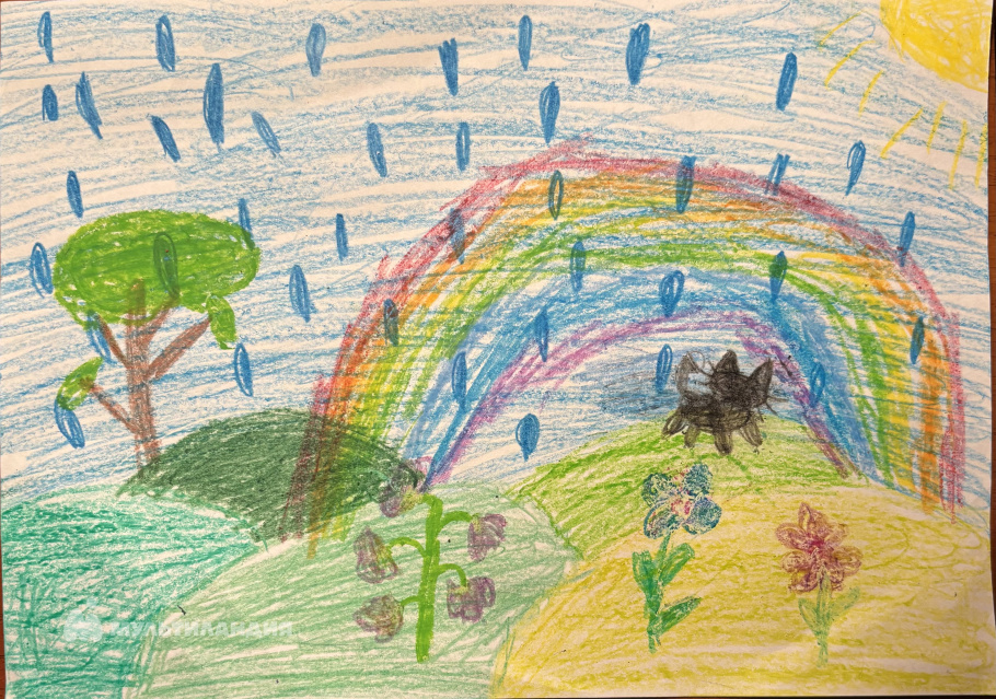 Ардашева  Диана 