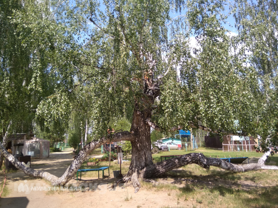 Юнусов Камиль