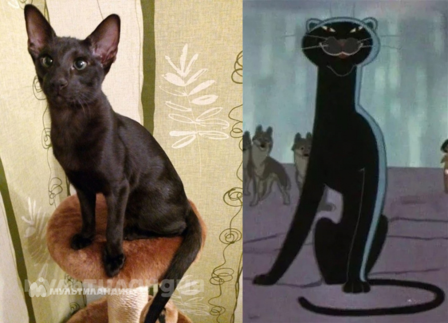 Виктория Козлова