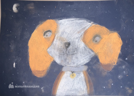 Позолотин Роман