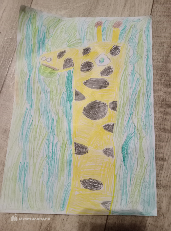 Торлопова  Василиса 