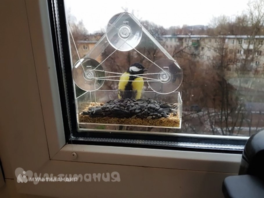 Куликова Маргарита