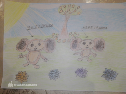 Сеитова Амира