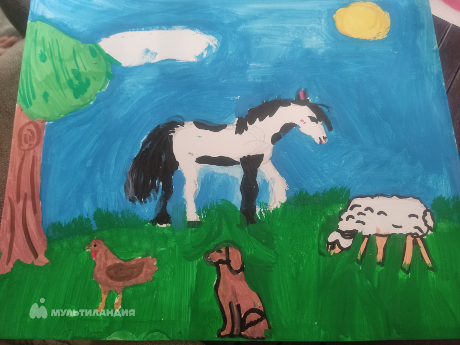 Кабаченко  Анастасия 