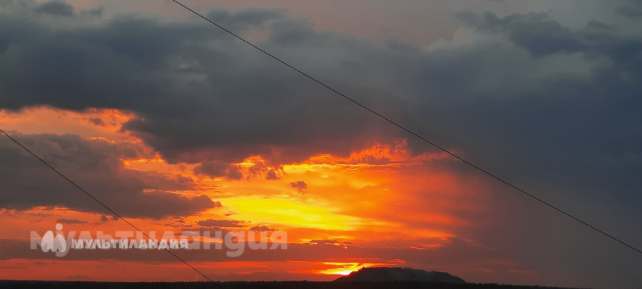 Степа Тронин