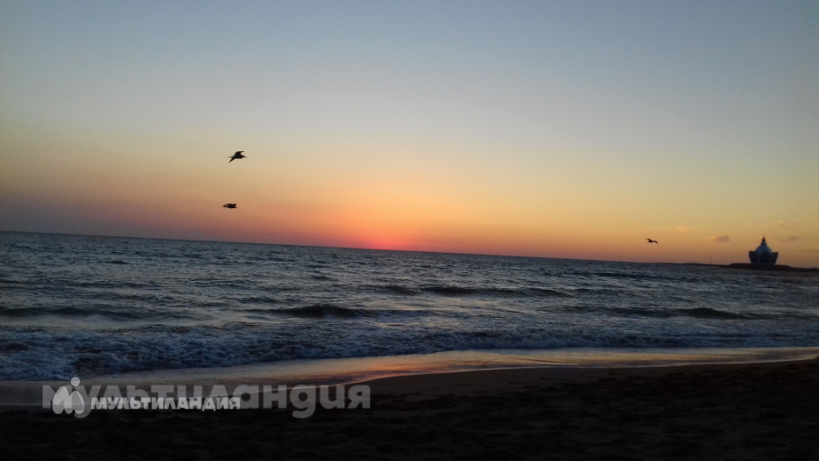 Осокин Даниил