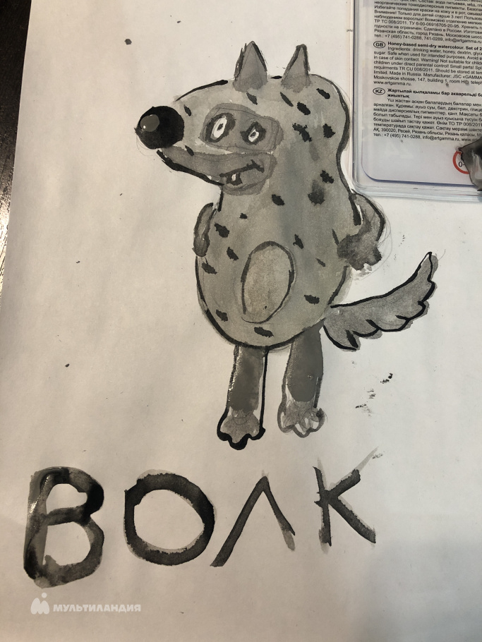 Каримова  Камилла 