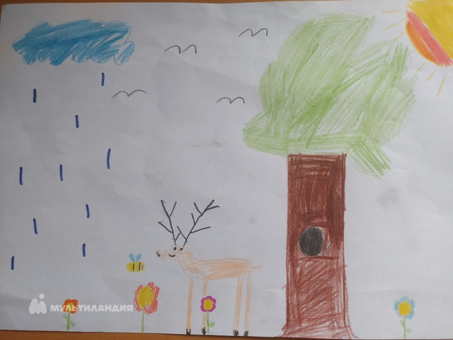 Садовой Тимофей