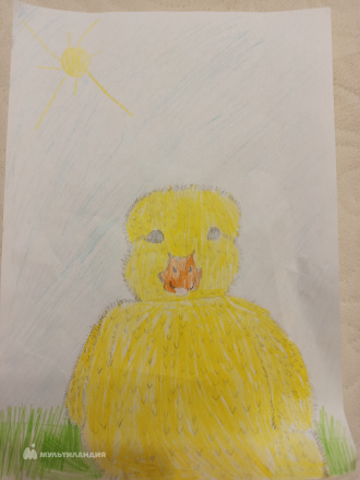 Никитина  Полина 