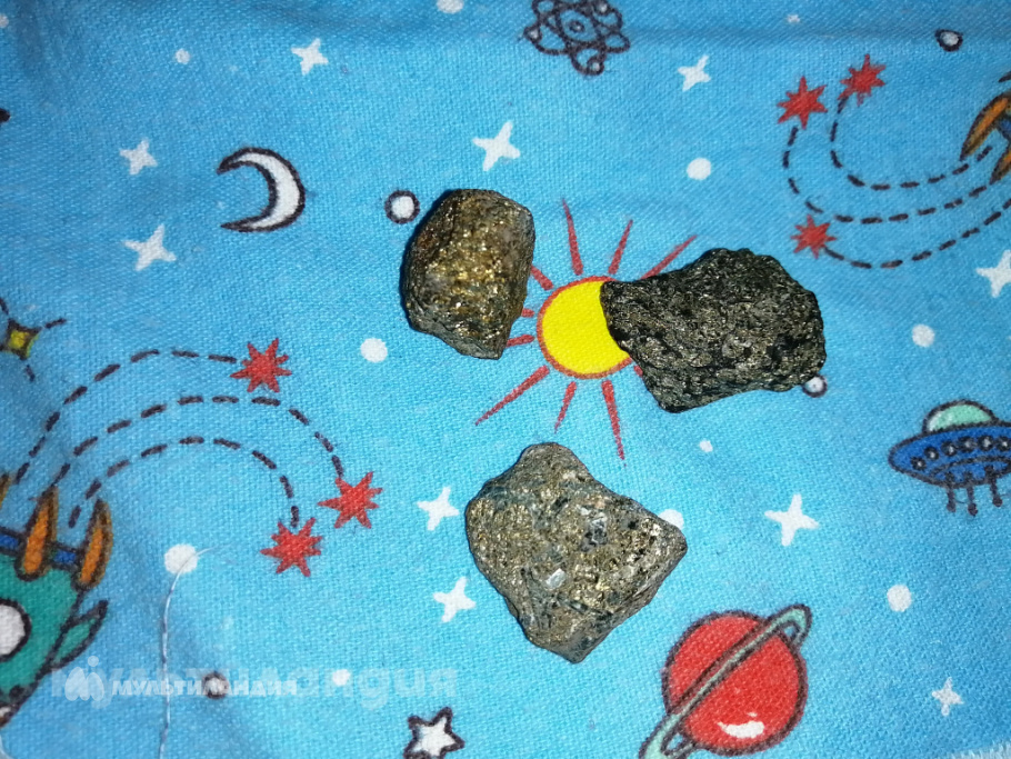 Шульга Никита