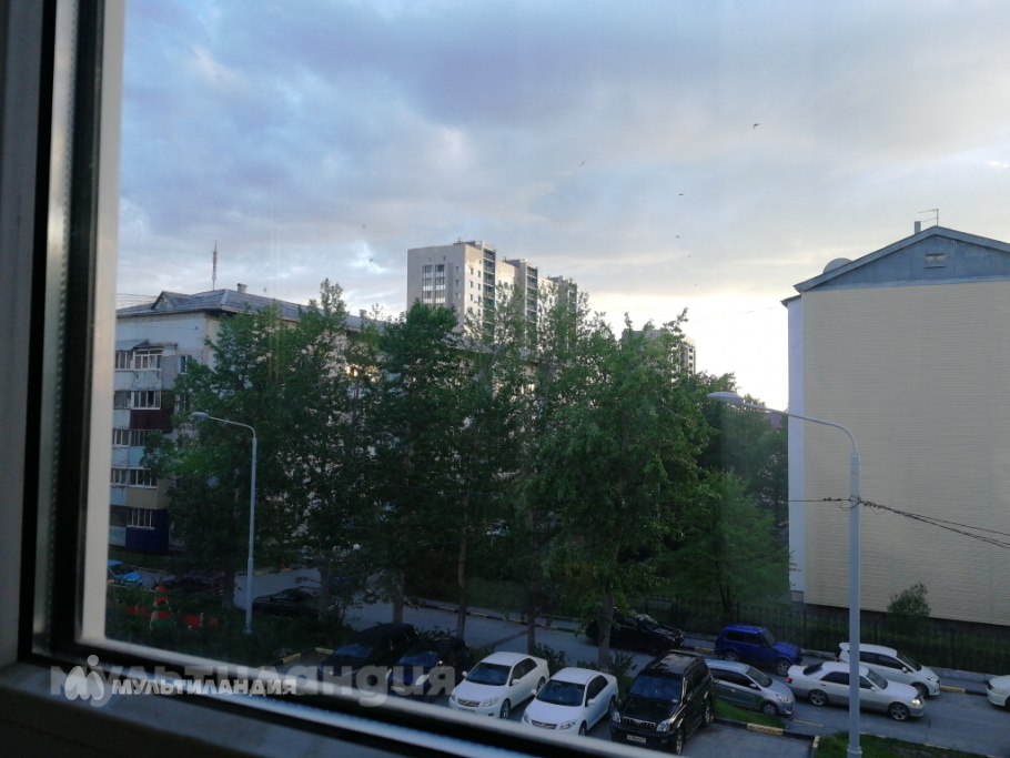 Туркина Маргарита