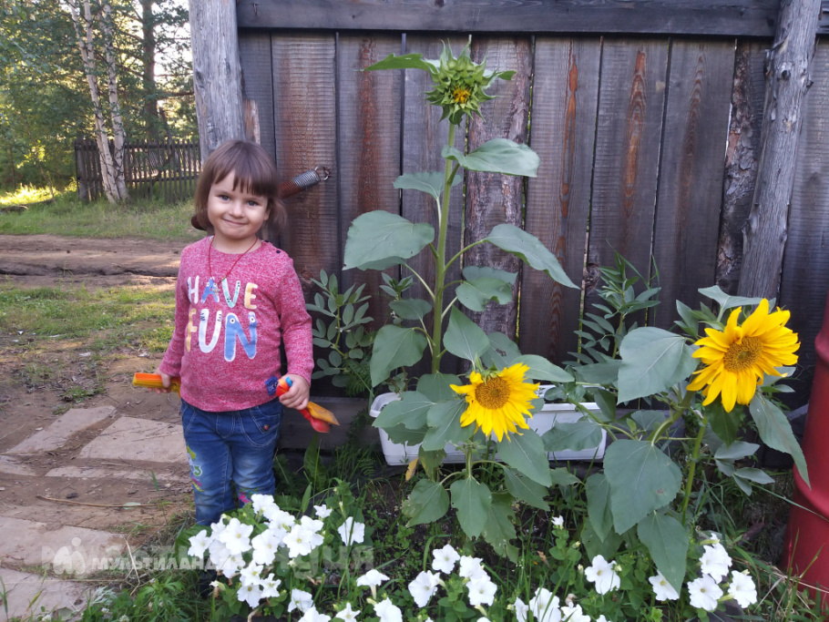Князькова Таисия