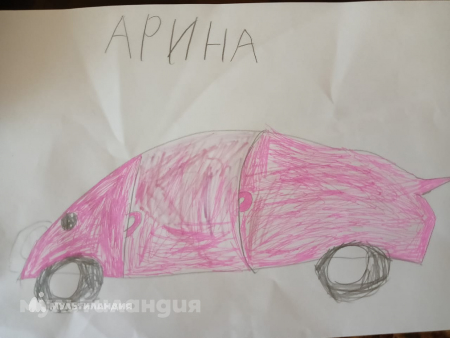 Минейкина Арина