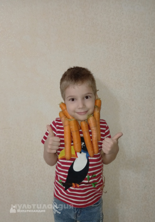 Шамиль Шакиров