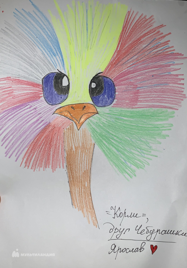 Наумов Ярослав