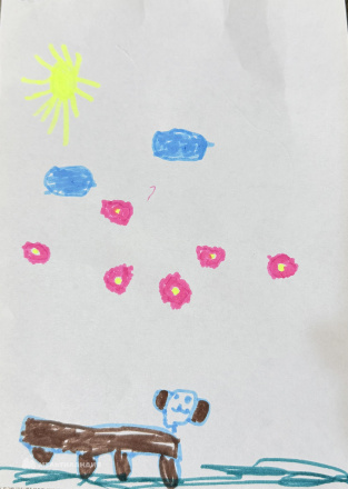 Шарапова Ира