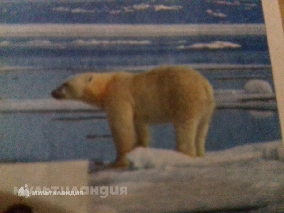 рианна михайловна