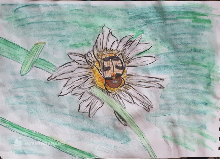 Соколенко  Олег