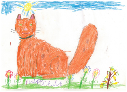 Курилова Анастасия