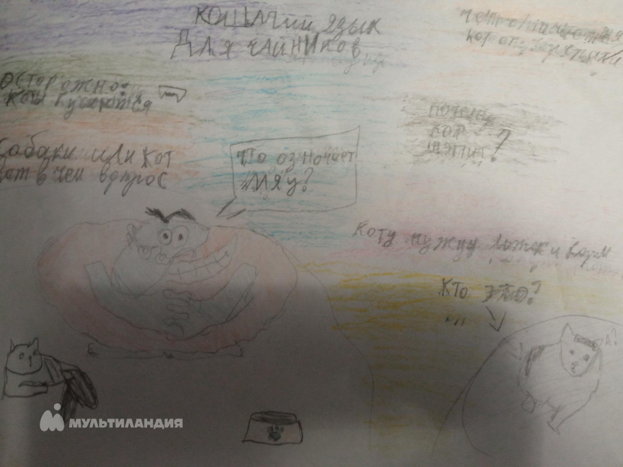 Шевцов Андрей