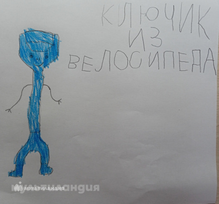 Шамиль Камалов